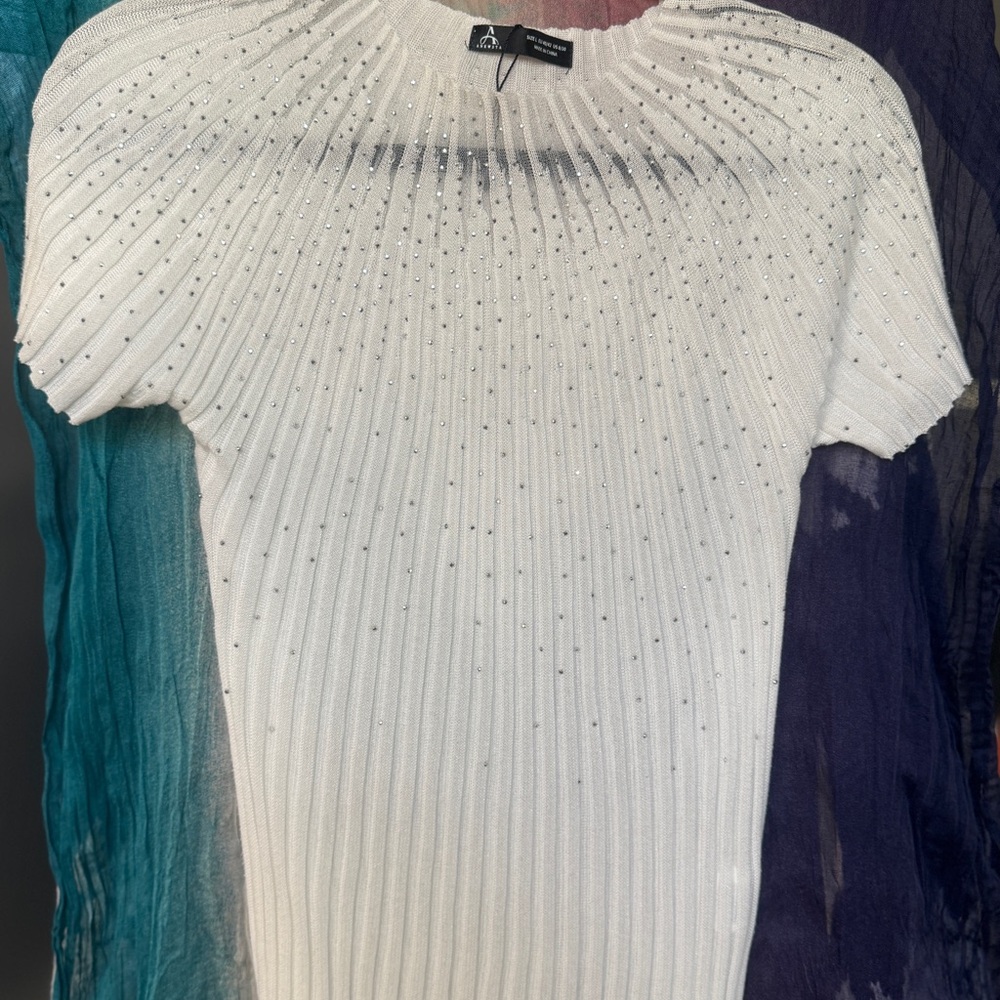 Glittery Sheer Top